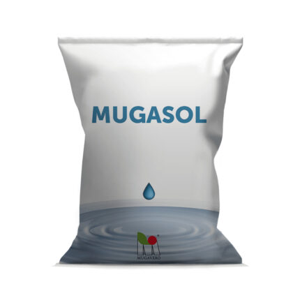 MUGASOL 8.24.24