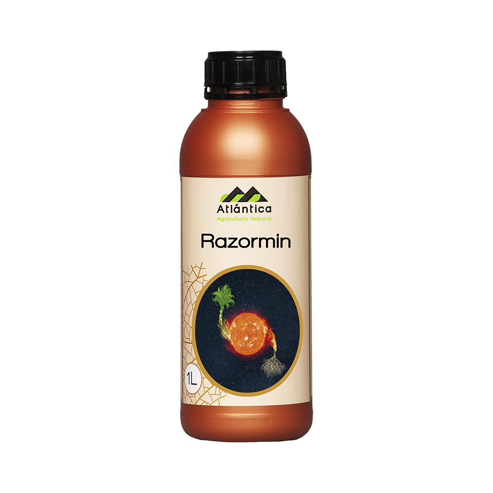 razormin-1-l-nuevo-1 Razormin 1 LT - Görsel 1