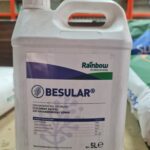 RAİNBOW BESULAR 5LT